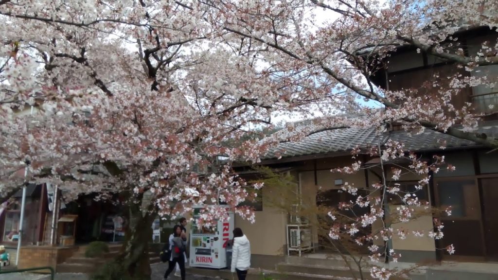 paseo filosofo kioto